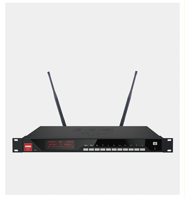 BBS娱乐话筒 HP-1 一拖二无线话筒 专业无线麦克风 真分集话筒 舞台演出会议婚庆主持2